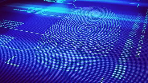 American Express to pilot biometrics at the online checkout