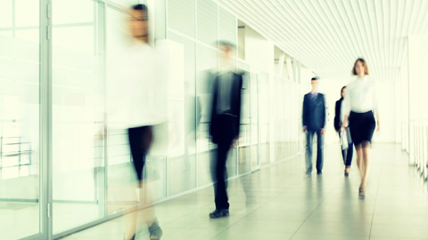 Solaris to lay off a third of workforce
