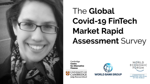 Investigating Covid-19's impact on Global FinTech