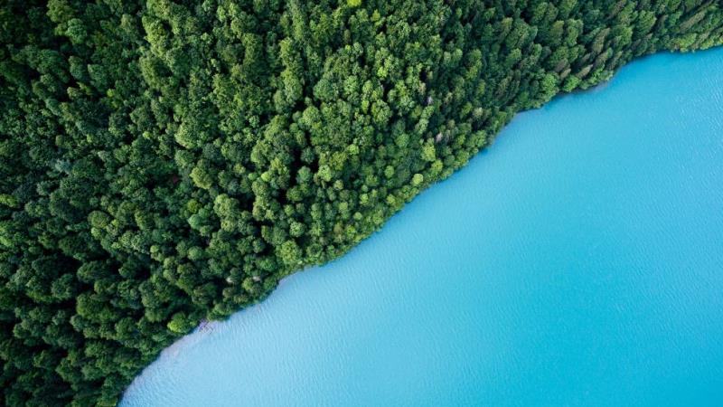 GreenFi launches climate-friendly consumer financial brand